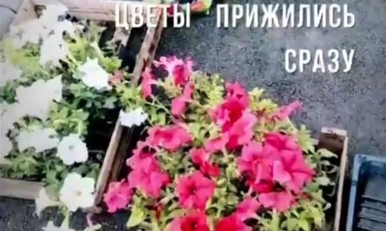 Фото Тактический урбанизм: в челябинском поселке АМЗ незаконных торговцев победили с помощью цветов
