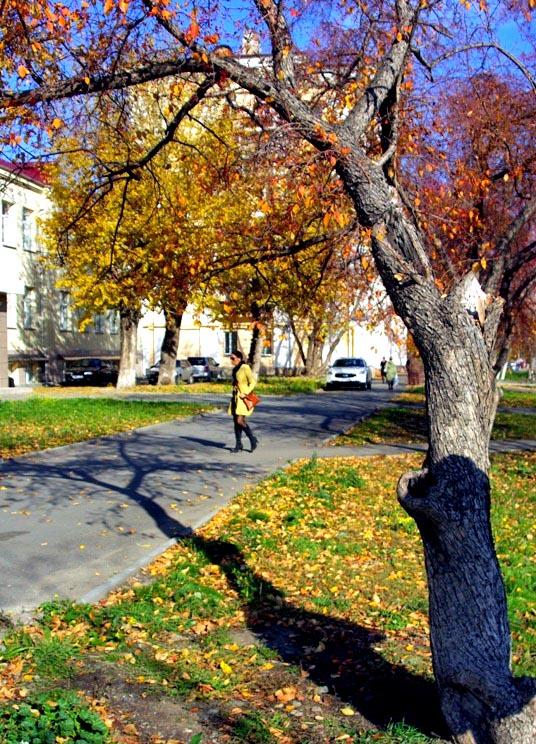 Фото В Челябинской области тепло, умеренные дожди