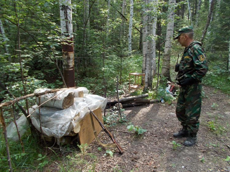 Фото Губителей парка «Таганай» оштрафовали на 130 тысяч рублей