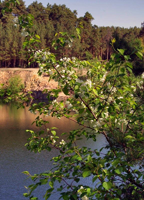 Фото Радоница в Челябинской области будет светлой и теплой