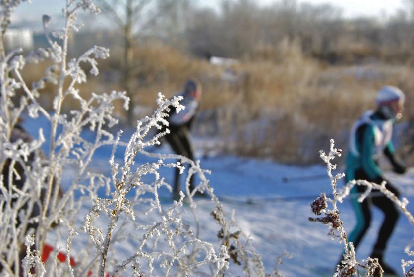 Фото Близится финал сельской зимней спартакиады «Уральская метелица»