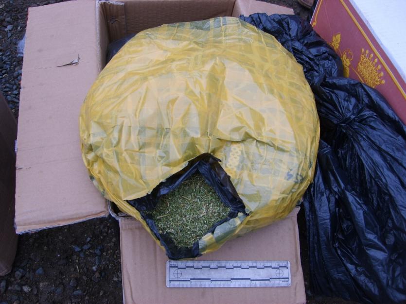 Фото В Челябинской области изъяли более трех килограммов марихуаны