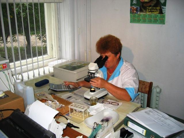 Фото Ситуация по заболеваемости гриппом и ОРВИ в Челябинской области - неэпидемическая