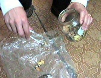 Фото Челябинские таможенники  задержали очередного таджикского наркокурьера- «глотателя»