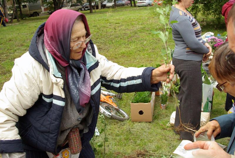 Фото Минсельхоз Челябинской области возместит затраты садоводческим товариществам