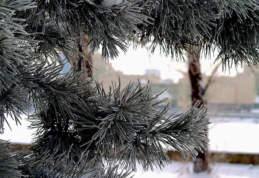 Фото Пятница в Челябинской области будет морозной и солнечной