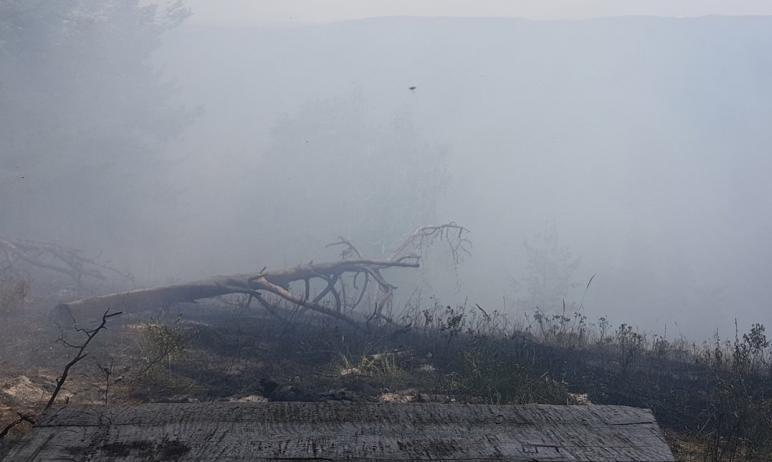 Фото На Кичигинской сопке под Миассом удалось ликвидировать все очаги лесного пожара