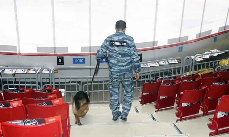 Фото Полицейские Челябинска обеспечат безопасность на контрольных прокатах российских фигуристов