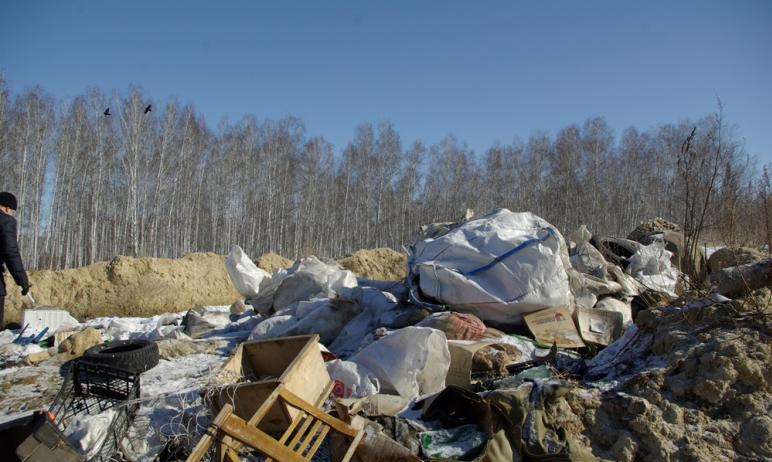 Фото Путин обозначил крупные задачи «мусорной» реформы
