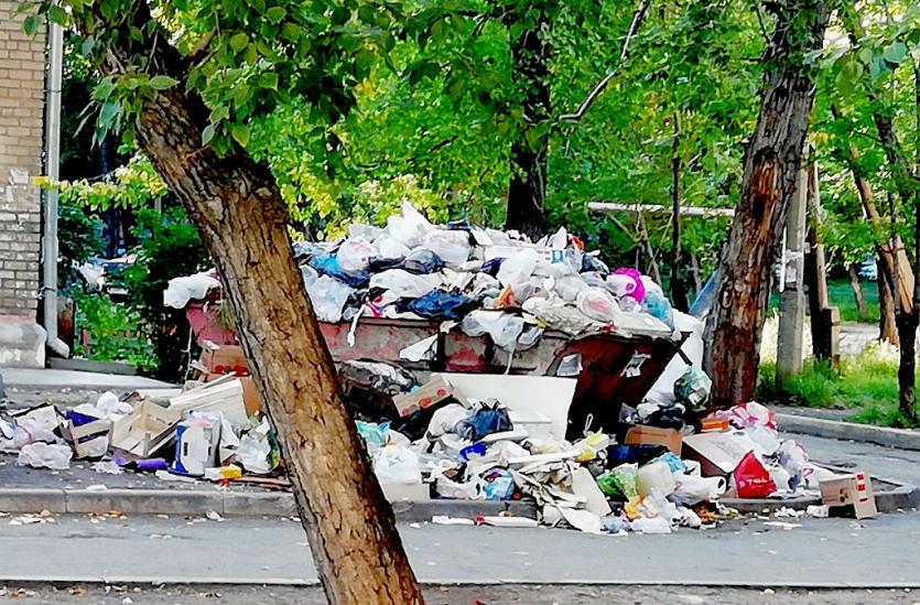 Фото Металлургический район Челябинска утопает в мусоре