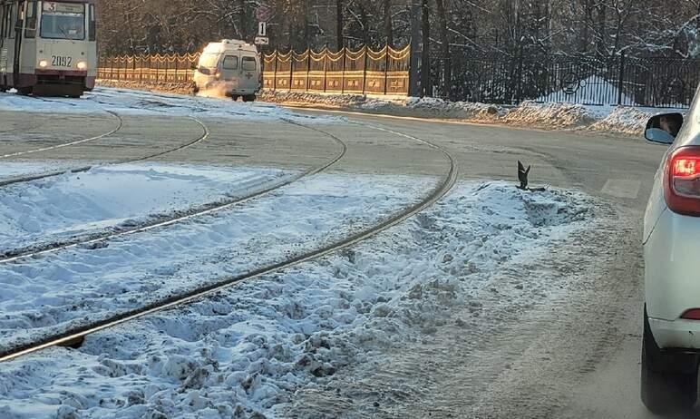 Фото Челябинцы жалуются на снежные валы на остановках