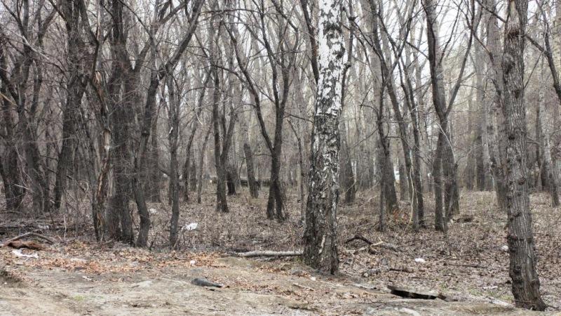 Фото В Челябинске приют бомжей и наркоманов снова превратится в парк (ФОТО)