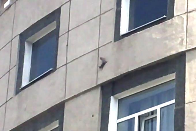 Фото К южноуральским полицейским пришла белочка