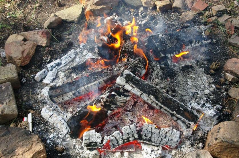 Фото За выходные в Челябинской области ликвидировано 18 лесных пожаров