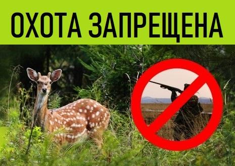 Фото В Челябинской области возбуждено 26 уголовных дел по факту незаконной охоты