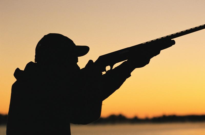 Фото В кизильском поселке школьник выстрелил себе в голову из ружья отца