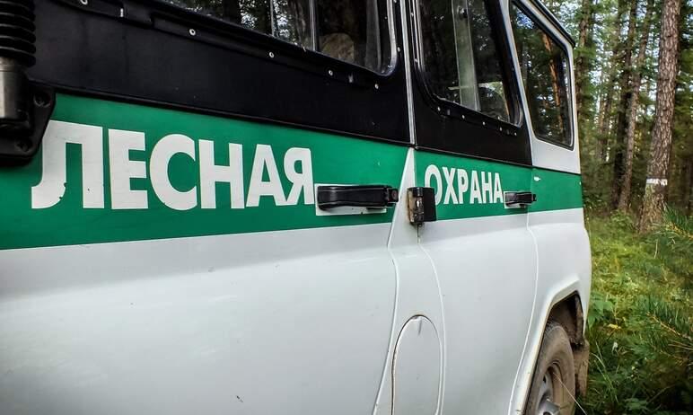 Фото  На вершину топ-5 регионов РФ по тушению лесных пожаров вышла Челябинская область