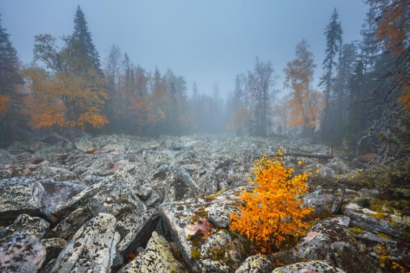 Фото В Челябинске откроется фотовыставка «Особо охраняемые природные территории Южного Урала»