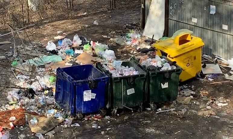 Фото Челябинск погряз в мусоре, власти рапортуют: «Ситуация на контроле»