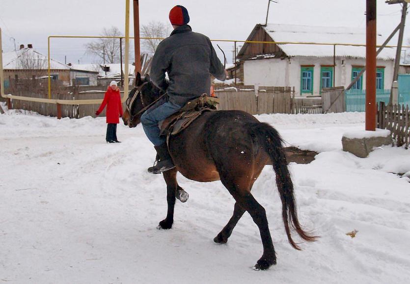 Фото В Челябинской области в среду тепло и ясно