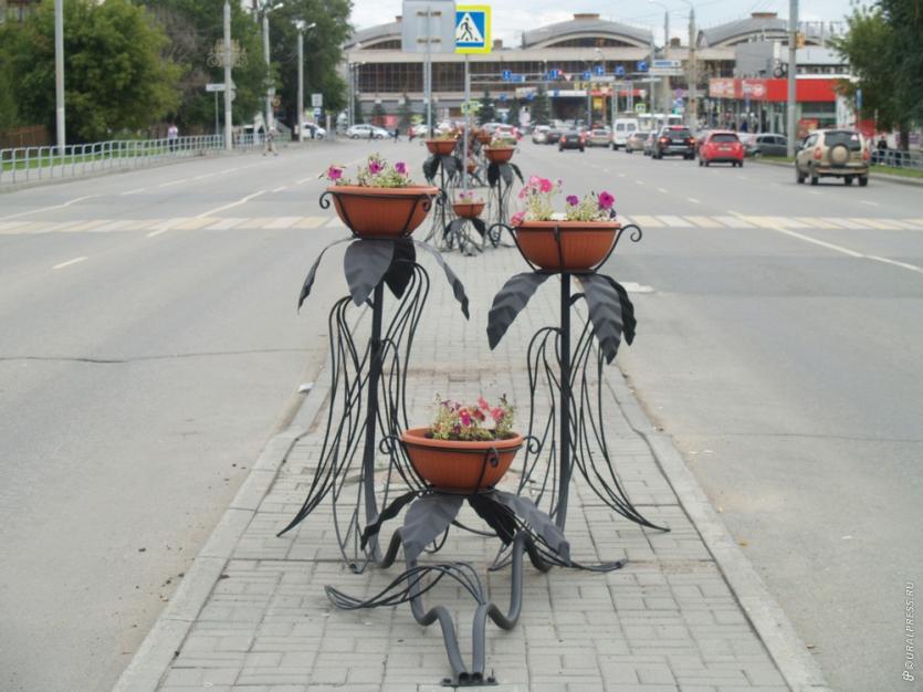 Фото В Челябинске установили цветочные клумбы в последний день лета