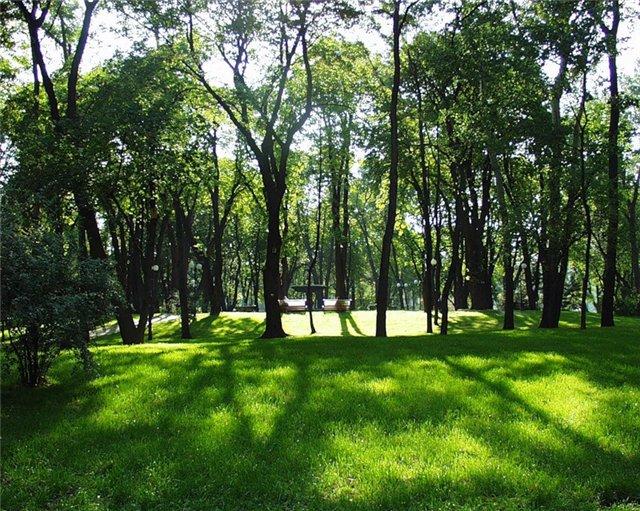 Фото В Ленинском районе Челябинска создадут парк