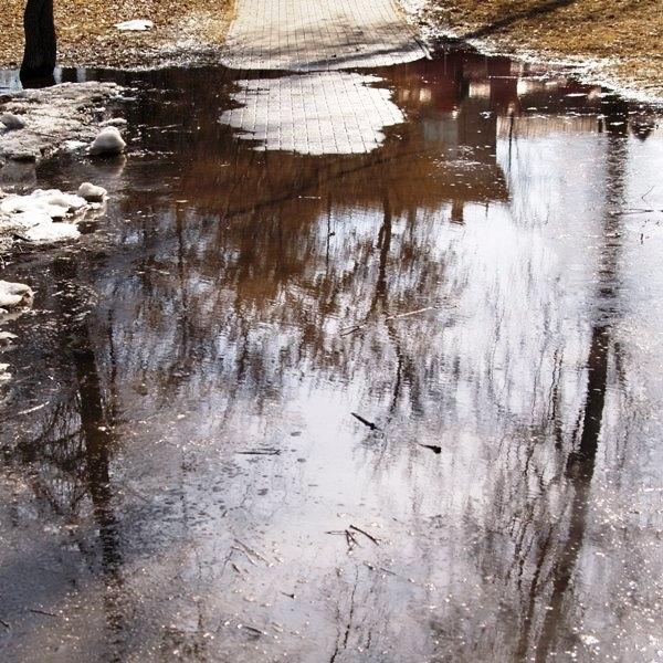 Фото В Челябинской области решают, как бороться с паводком