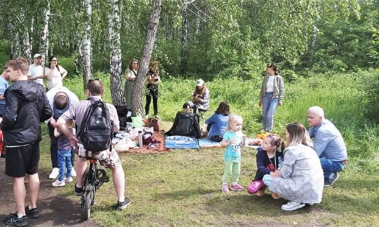 Фото В Челябинске вновь начали сносить деревья под каток УралГУФКа