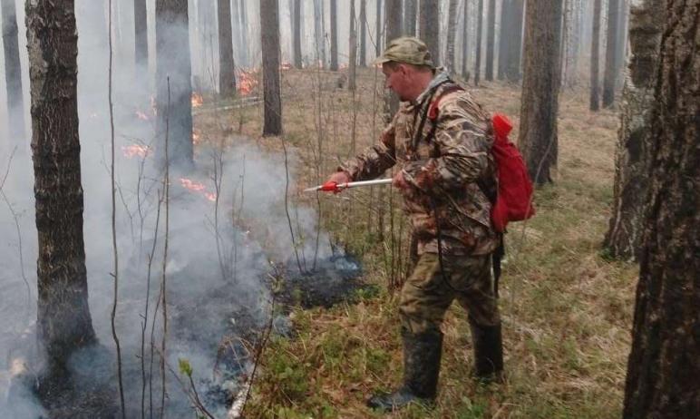 Фото В Челябинской области огонь уничтожил пять гектаров леса 