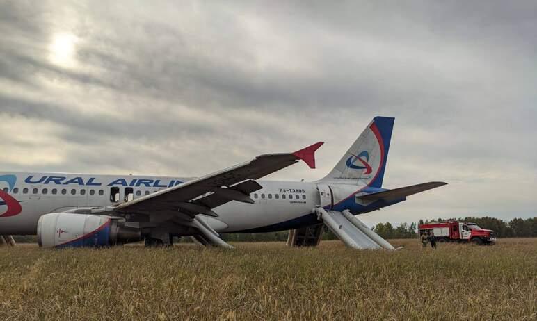 Фото Самолет «Уральских авиалиний» совершил экстренную посадку в Новосибирской области. ВИДЕО (новость дополняется)