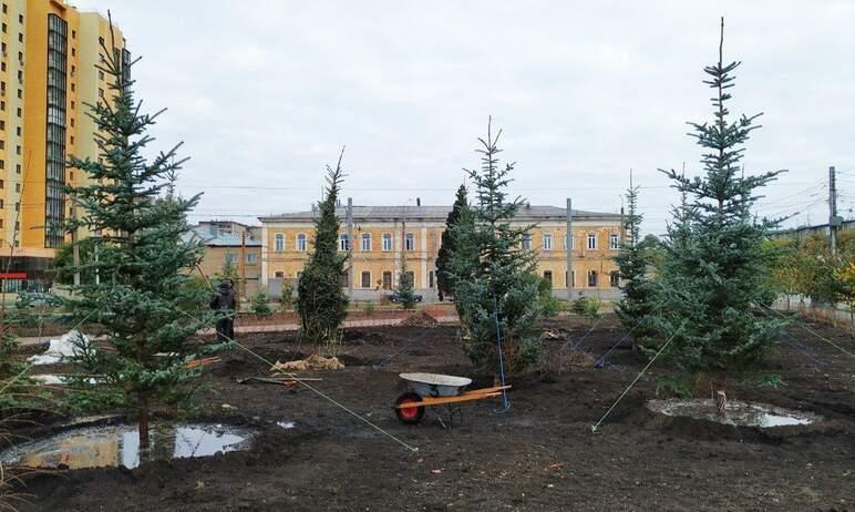 Фото На площади Павших революционеров в Челябинске высаживают голубые ели