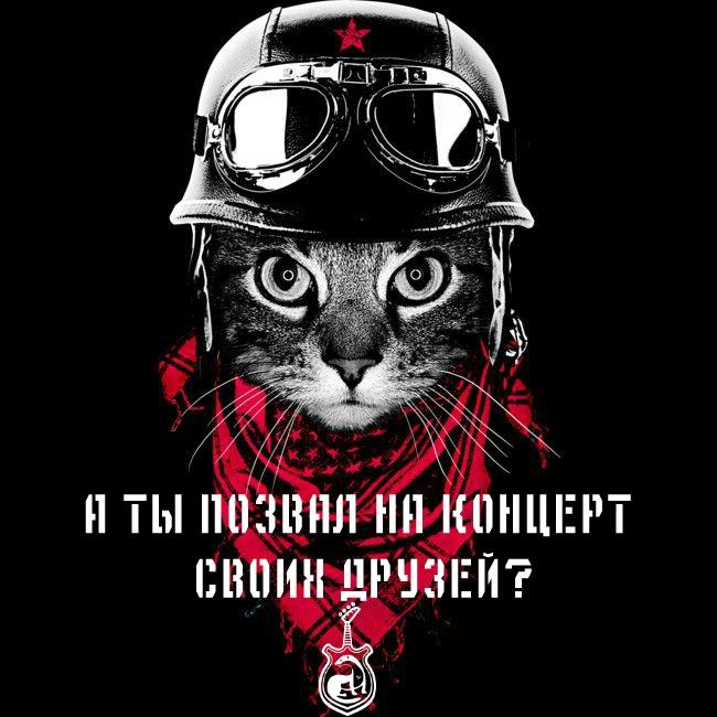 Фото Челябинский рок – в защиту животных  