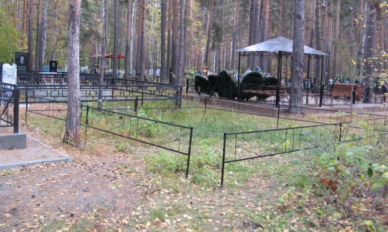 Фото Смертность в Челябинской области вдвое превысила рождаемость