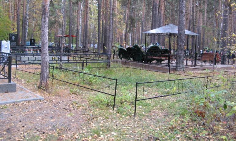 Фото На кладбище в Чебаркуле ограбили жителей Ленинградской области