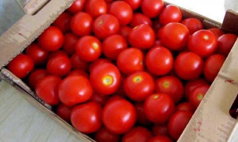 Фото В Усть-Катаве сотрудники агрофирмы «Чурилово» украли семь тонн огурцов и помидоров