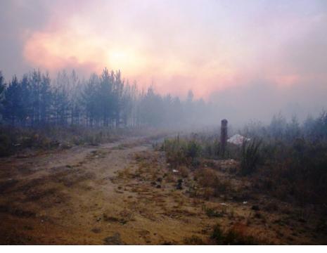 Фото Два министерства не могут договориться по механизму выплат компенсации фермерам за тушение ландшафтных пожаров