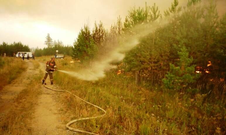 Фото В Пластовском районе тушат крупный лесной пожар