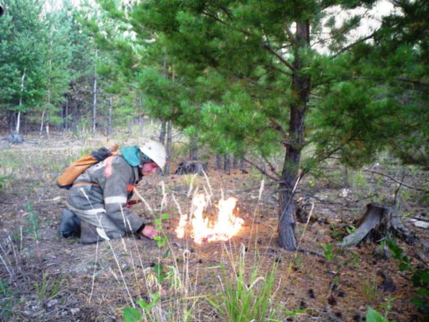 Фото В Челябинской области назвали дату начала пожароопасного сезона в лесах