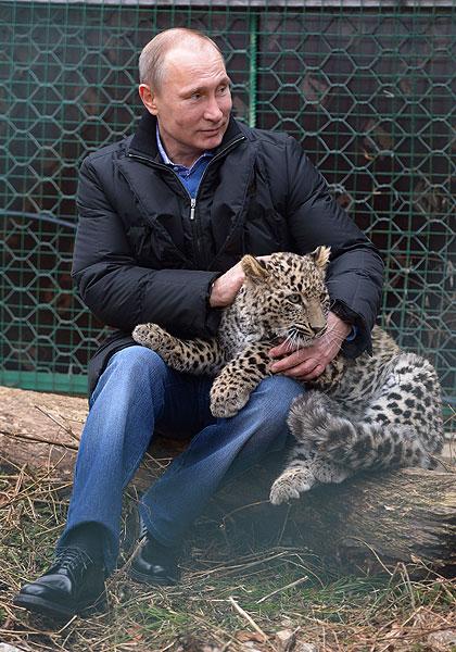 Фото Зоозащитники Челябинска попросят  Путина дать добро на открытие реабилитационного центра для диких животных