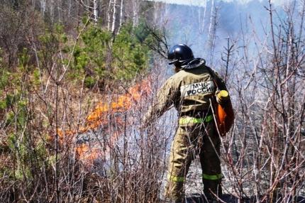 Фото На Южном Урале сохраняется высокая пожарная опасность, в Челябинске введен особый режим