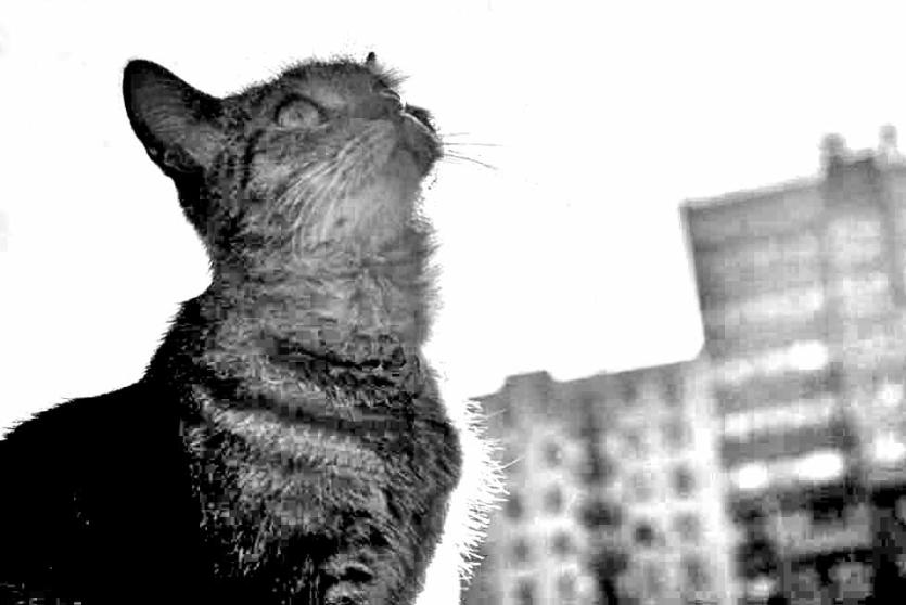 Фото В выходные на Южном Урале похолодает, пройдут дождь и снег