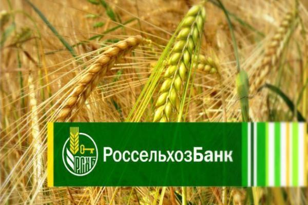 Фото На финансирование сезонных работ Челябинским филиалом Россельхозбанка направлено порядка 1,4 миллиардов рублей