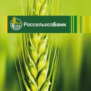 Фото Дмитрий Патрушев: Россельхозбанк на 86% увеличил кредитование предприятий животноводства