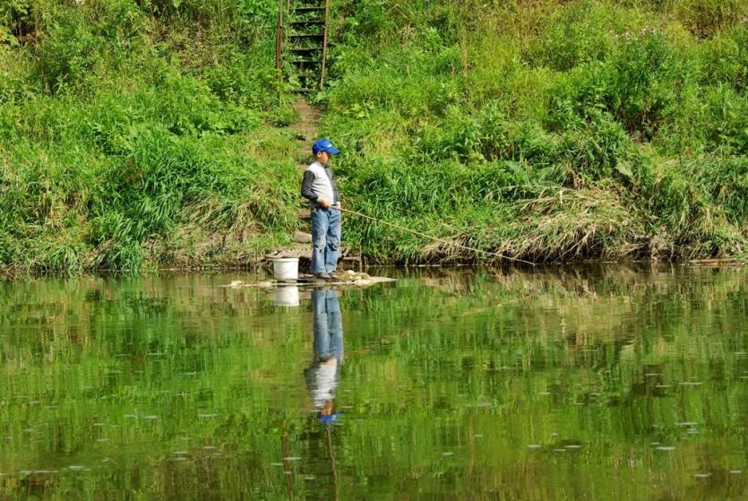 Фото На водоемах Челябинской области на сорок дней ограничат рыбалку
