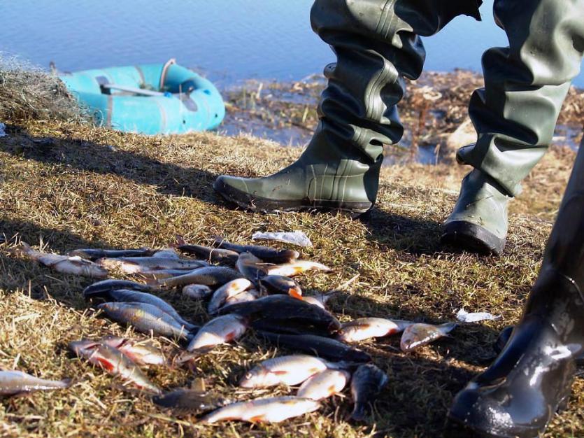 Фото Власти Челябинской области выступят с инициативой о передаче в регион полномочий по рыбоводству