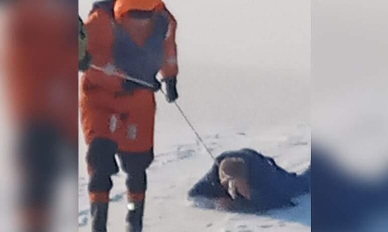 Фото В Магнитогорске спасли рыбака, провалившегося под лед