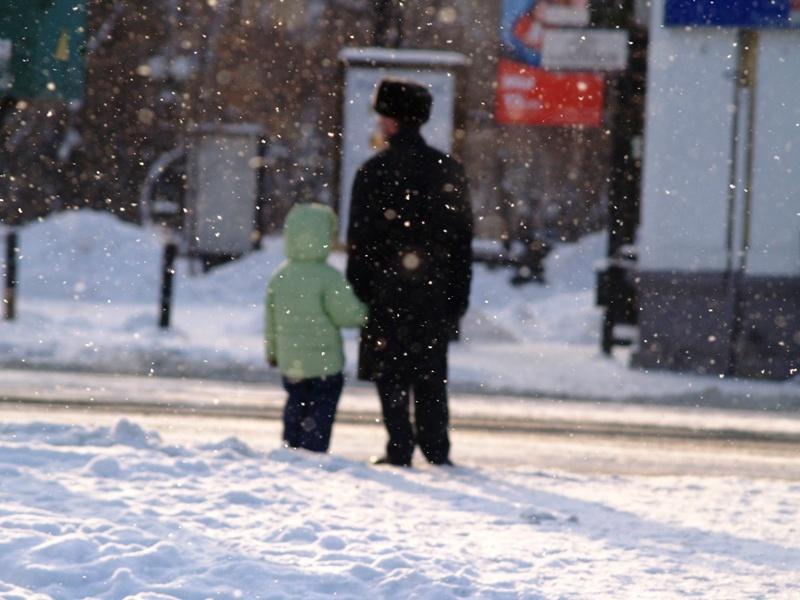 Фото В магнитогорском цирке состоится представление для детей-сирот