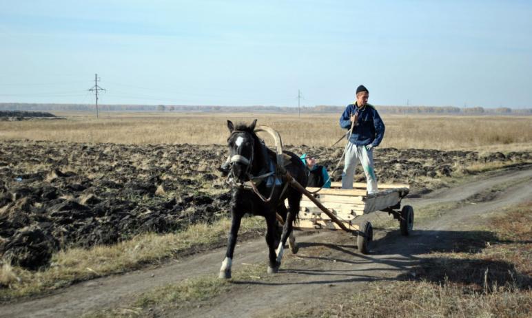 Фото На Южном Урале разыграли гранты среди семейных ферм