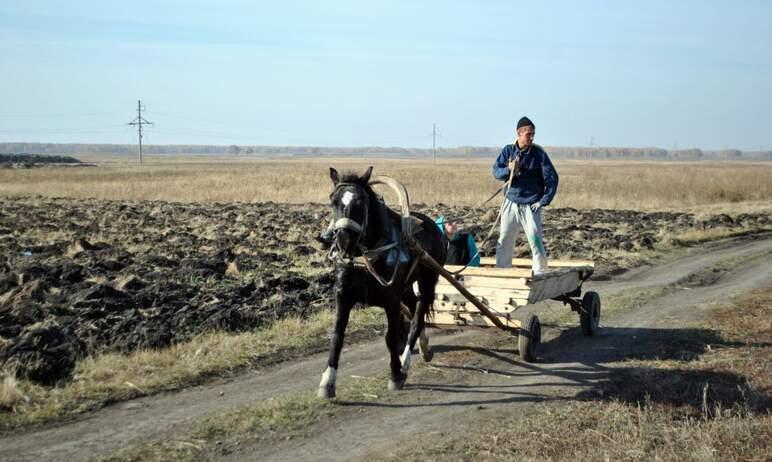 Фото Бизнес Челябинской области оценил снижение ставки единого сельхозналога