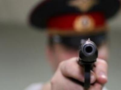Фото В Коркино полицейский застрелил лису, покусавшую детей